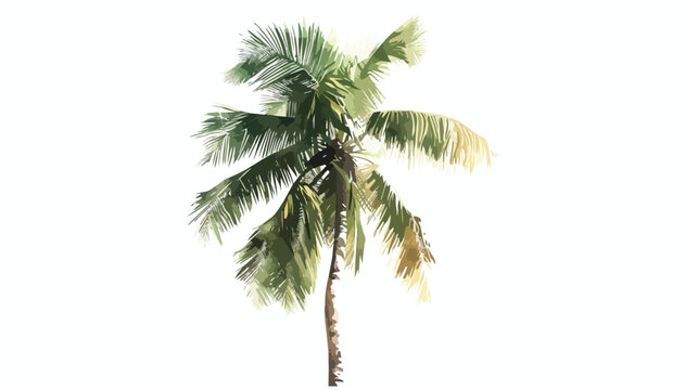 A Single Palm Tree in Florida flat vector isolated on hite background 