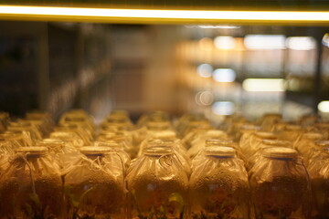 Close-up photo of growing experiments in plant laboratory