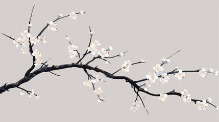 A branch with white flowers on it against a gray background - obrazy, fototapety, plakaty