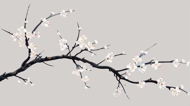 A branch with white flowers on it against a gray background
