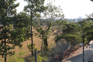 The countryside Vietnam style. Looking at farmland and rice fields in the regional area of Ba Ria Vietnam. Beautiful view of everyday life. 