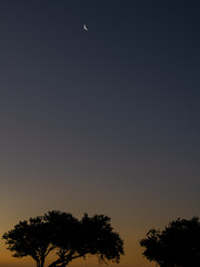 Sonnenuntergang an dem Green Point in Kapstadt an der Atlantikküste