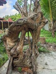 Obraz premium old wood for decoration