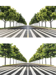Collection of PNG. Avenue. Street with tree and zebra cross isolated on a transparent background.