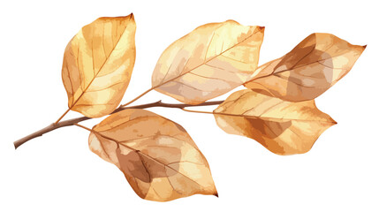 dry leaves in an isolated white background natural dr - obrazy, fototapety, plakaty
