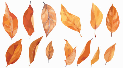 dry leaves in an isolated white background natural dr - obrazy, fototapety, plakaty