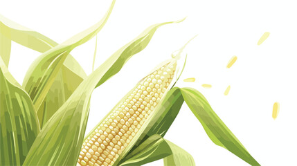 fresh unripe ear of corn. The concept of a corn farm