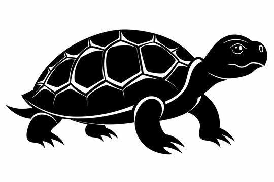 recommend clip art: turtle black silhouette vector with white background.