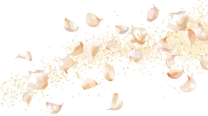 Fotobehang Granulated garlic for use in cooking as a seasoning flat © Aina