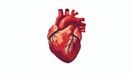 Human heart - Vector illustration flat vector 