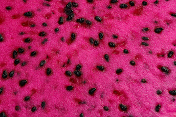 Ruby red exotic cactus dragon fruit whole cut half on white background - 768481378