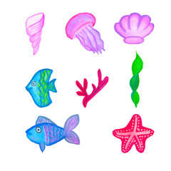 Marine Set watercolor drawing set of icons for decoration starfish coral fish jellyfish algae shell marine decor