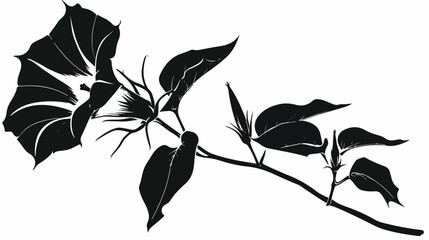 Isolated vector silhouette of Datura flower. Thorn-app