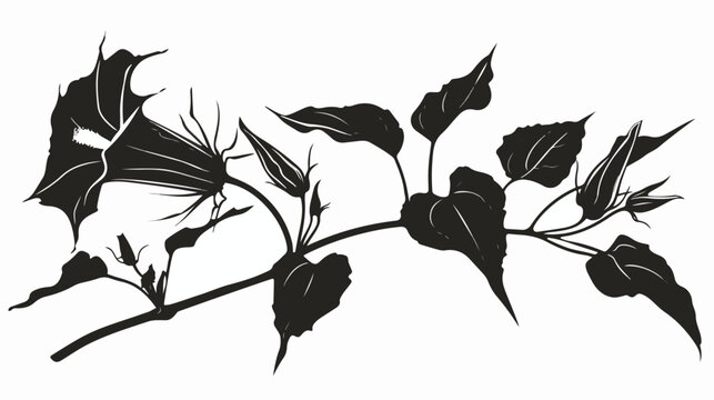 Isolated vector silhouette of Datura flower. Thorn-app