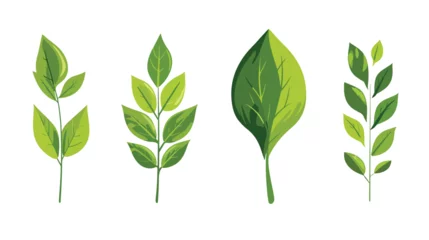 Poster leaf's plant decorative icon flat vector  © Nobel