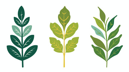 leaf's plant decorative icon flat vector  - obrazy, fototapety, plakaty