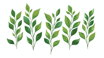 leaf's plant decorative icon flat vector  - obrazy, fototapety, plakaty