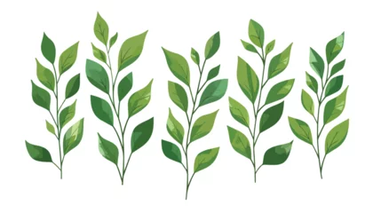 Poster leaf's plant decorative icon flat vector  © Nobel