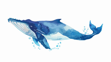 Obraz premium Watercolor blue whale illustration isolated on white