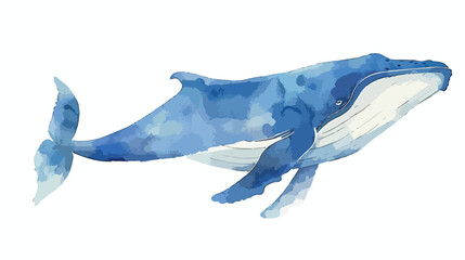 Watercolor blue whale illustration isolated on white