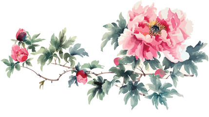 peony flowerTraditional chinese ink and wash painting.