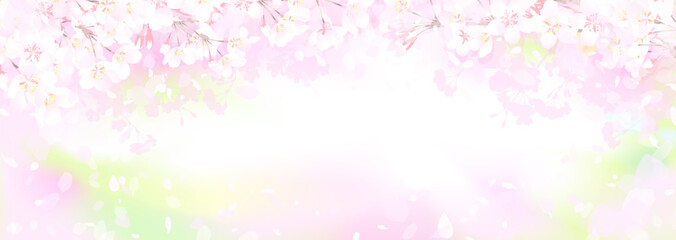 Obraz na płótnie Canvas 桜と新緑