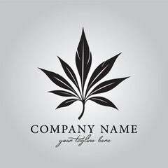 Leaf logo company design vector image on the white background