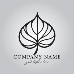 Leaf logo company design vector image on the white background