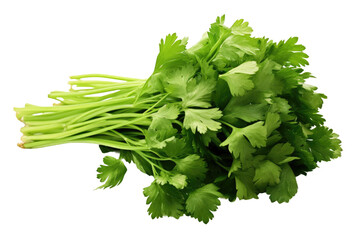 A collection of fresh green parsley leaves. The vibrant color of the parsley stands out against the neutral backdrop, creating a visually striking contrast. Isolated on a Transparent Background PNG.