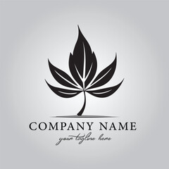 Leaf logo company design vector image on the white background