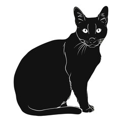 Obraz premium American Shorthair Silhouette