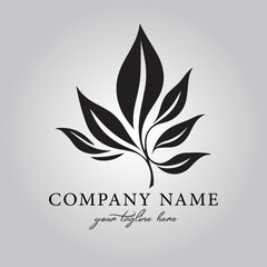 Leaf logo company design vector image on the white background