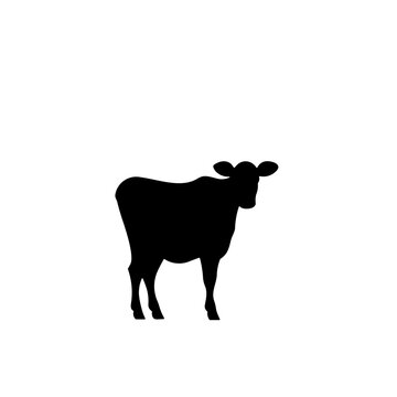 Simple cow isolated black icon