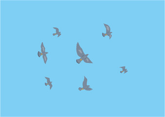青空に野バトが数羽飛んでいるイラスト - obrazy, fototapety, plakaty