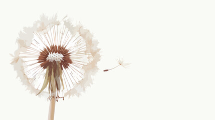 Macro view of dandelion flower head.. flat vector isolated