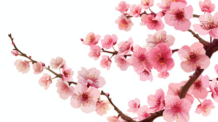 Nature background with blossom branch of pink sakura flat