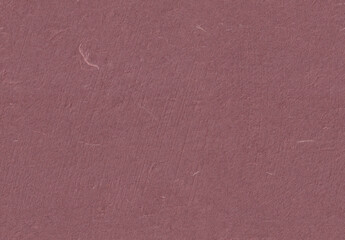 Fototapeta premium Seamless Rice Paper Texture for the Background.Copper Rose, Turkish Rose, Copper Rose, Rose Taupe Color.