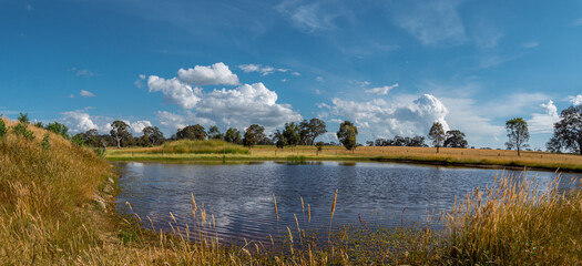 Rural Victoria, Australia. Grampians mountains in background. Eucalyptus trees, long grass and farm...
