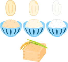 茶碗に盛った玄米、分搗き米、白米 - 768510549