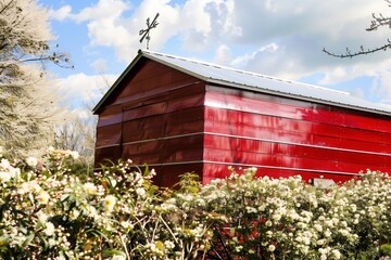 a shiny red shed with a weathervane, surrounded by blooming shrubs - obrazy, fototapety, plakaty