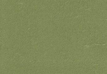 Seamless Organic Rice Paper Texture for the Background. Highland, Dingley, Go Ben, Finch Color.