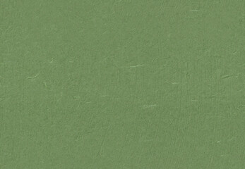 Seamless Rice Paper Texture for the Background. Glade Green, Highland, Camouflage Green, Hippie...