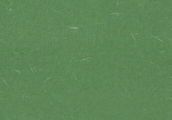Seamless Natural Rice Paper Texture for the Background. Hippie Green, Glade Green, Killarney, Fern...