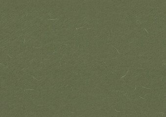Seamless Organic Rice Paper Texture for the Background. Siam, Woodland, Finch, Willow Grove Color.