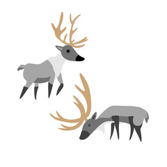 Decorative vector deer isolated on white background, wild reindeer, simple flat cartoon illustration cute mammal for design forest animal children pattern, cartoon poster Christmas, maps for kids
