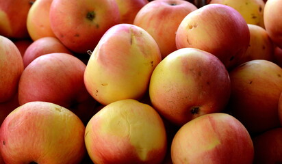 Apples at the farmers market