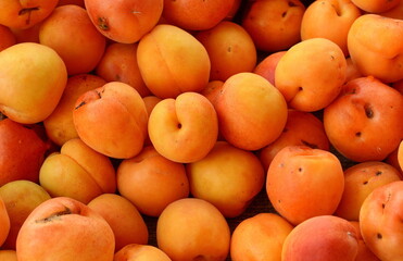 Fresh ripe Apricots on the market. 