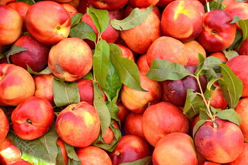 A beautiful fragrant ripe nectarine, the view from the top. Nectarines in the market. A group of...