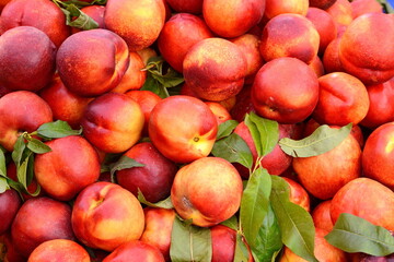 A beautiful fragrant ripe nectarine, the view from the top. Nectarines in the market. A group of...