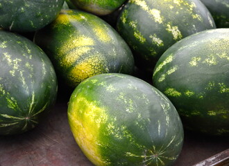 Green watermelons (Citrullus lanatus) for sale et market